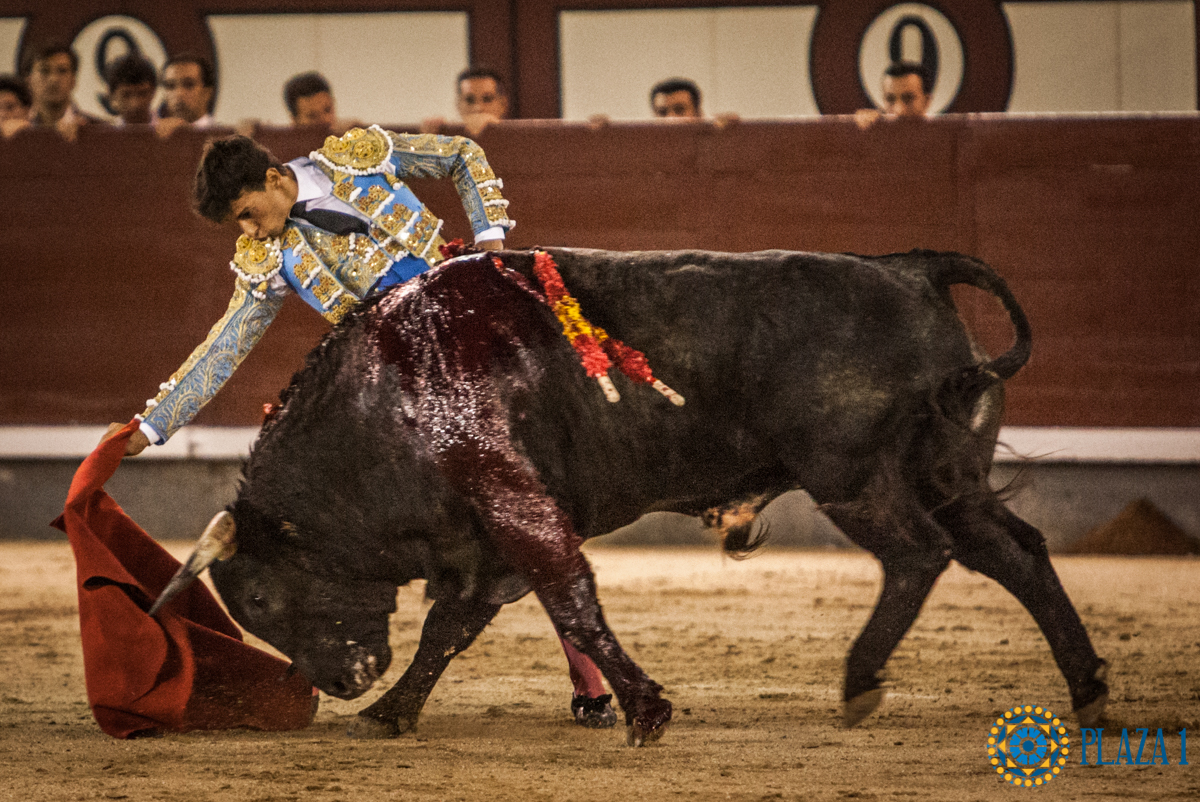 Madrid- Novillada nocturna - Viernes 20 de julio de 2018