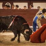 Madrid- Novillada nocturna - Viernes 20 de julio de 2018