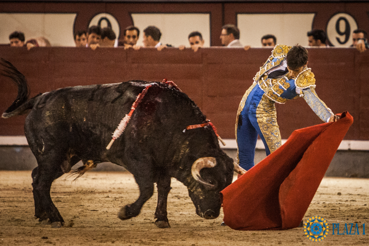 Madrid- Novillada nocturna - Viernes 20 de julio de 2018