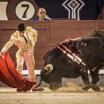 Madrid- Novillada nocturna - Viernes 20 de julio de 2018
