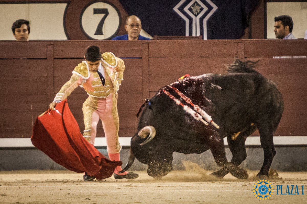 Madrid- Novillada nocturna - Viernes 20 de julio de 2018
