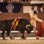 Madrid- Novillada nocturna - Viernes 20 de julio de 2018