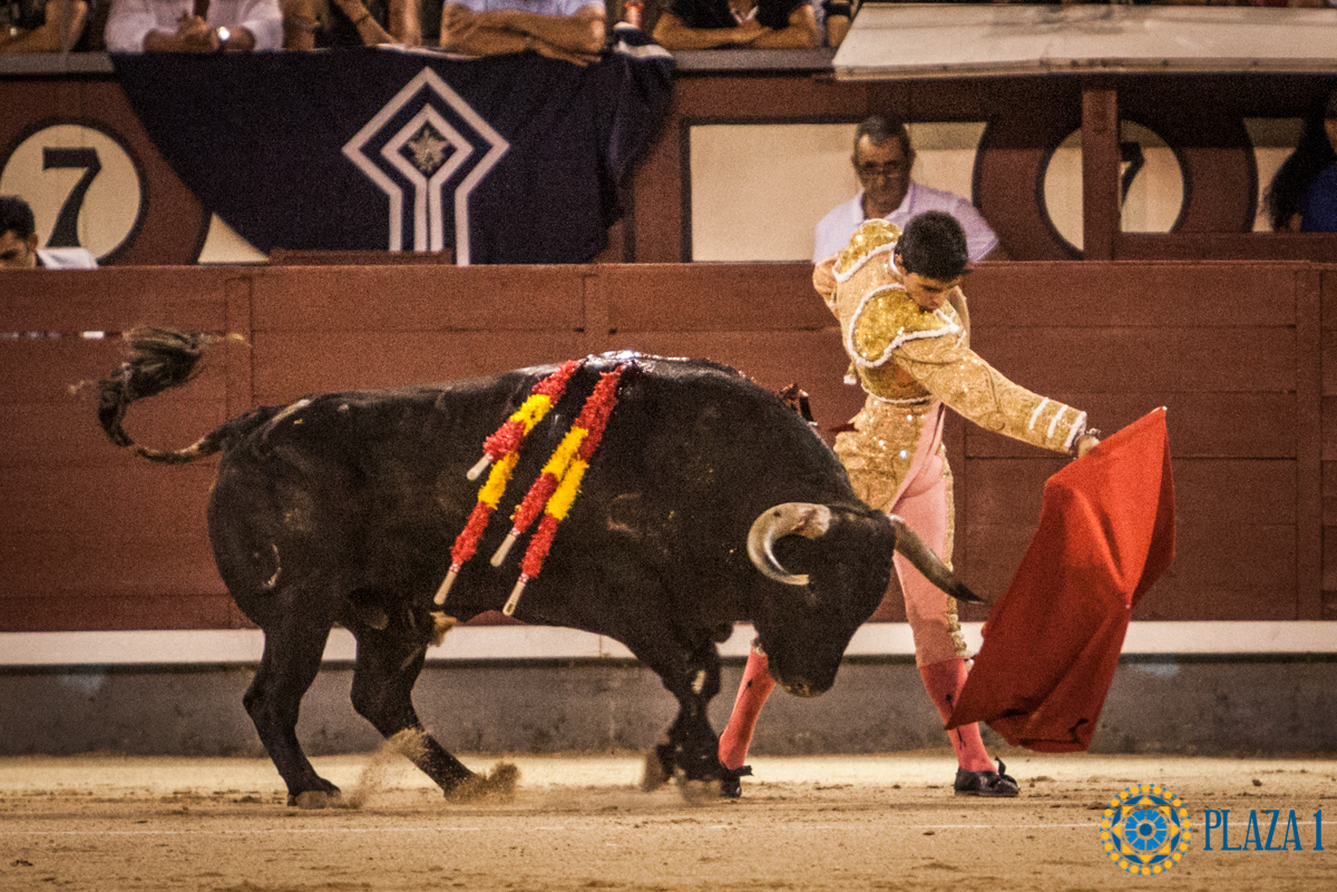 Madrid- Novillada nocturna - Viernes 20 de julio de 2018