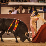 Madrid- Novillada nocturna - Viernes 20 de julio de 2018