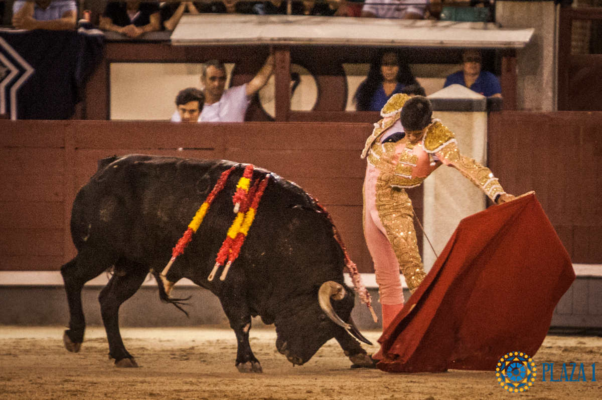 Madrid- Novillada nocturna - Viernes 20 de julio de 2018