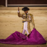 Madrid- Novillada nocturna - Viernes 20 de julio de 2018