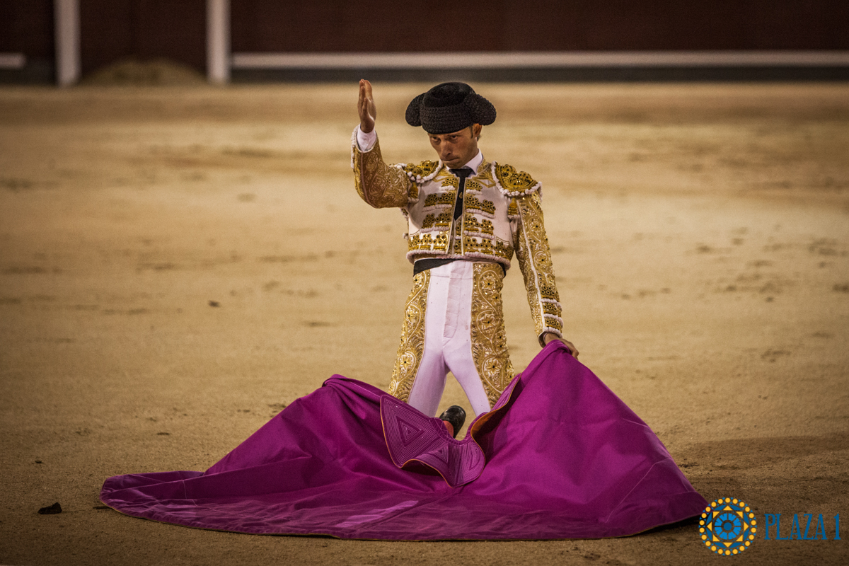 Madrid- Novillada nocturna - Viernes 20 de julio de 2018