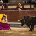 Madrid- Novillada nocturna - Viernes 20 de julio de 2018