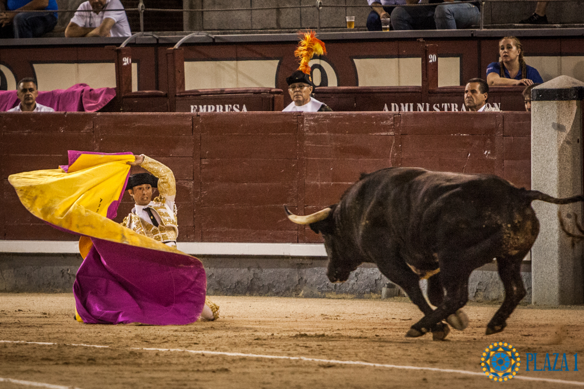 Madrid- Novillada nocturna - Viernes 20 de julio de 2018
