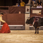 Madrid- Novillada nocturna - Viernes 20 de julio de 2018