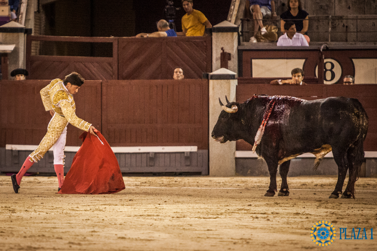 Madrid- Novillada nocturna - Viernes 20 de julio de 2018