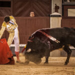 Madrid- Novillada nocturna - Viernes 20 de julio de 2018