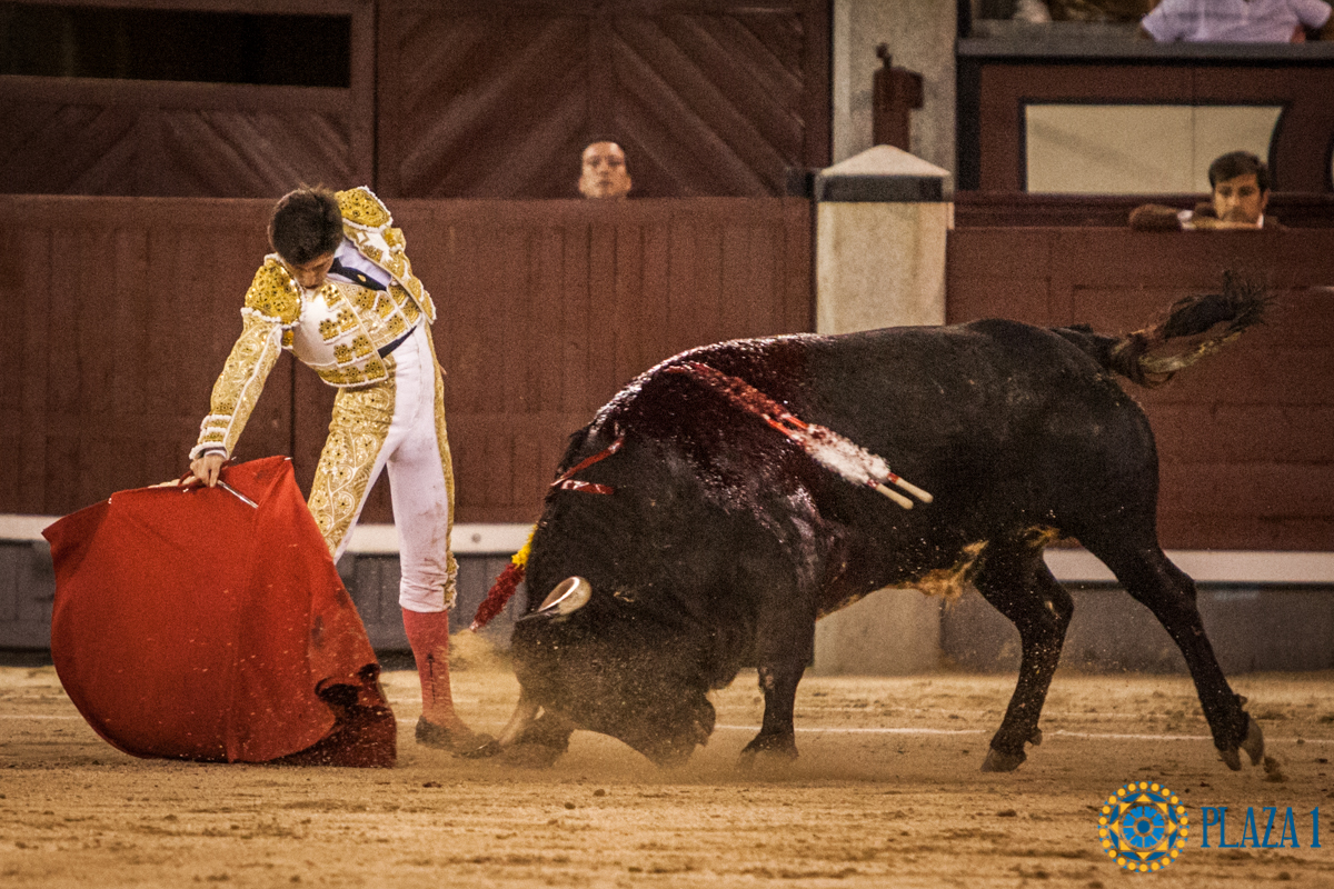 Madrid- Novillada nocturna - Viernes 20 de julio de 2018