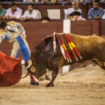 Madrid- Novillada nocturna - Viernes 20 de julio de 2018
