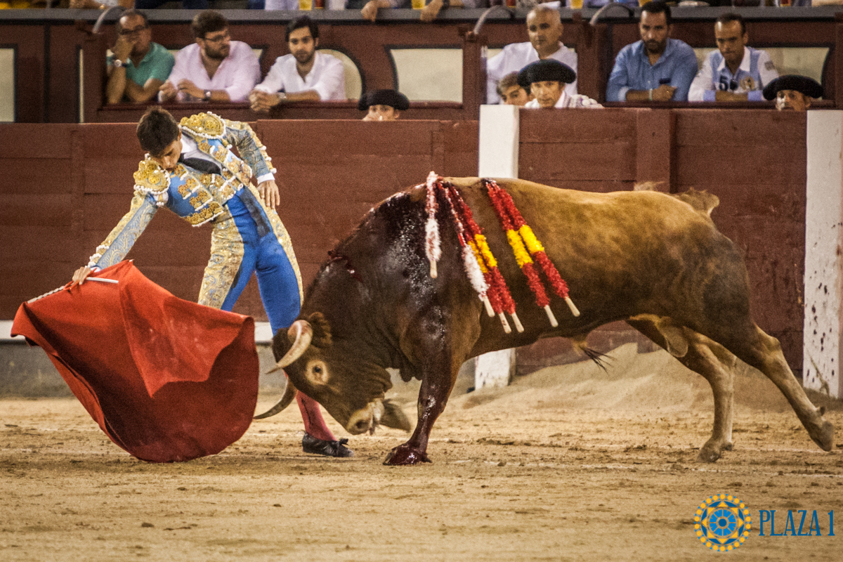Madrid- Novillada nocturna - Viernes 20 de julio de 2018