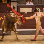 Madrid- Novillada nocturna - Viernes 20 de julio de 2018