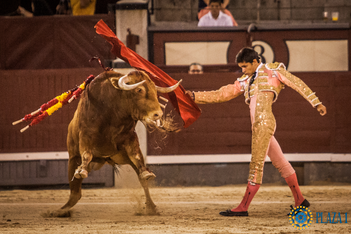 Madrid- Novillada nocturna - Viernes 20 de julio de 2018