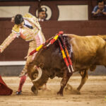 Madrid- Novillada nocturna - Viernes 20 de julio de 2018