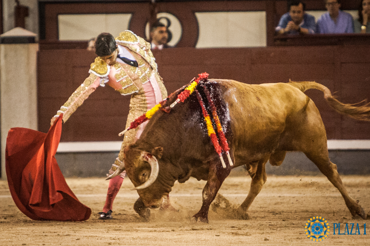 Madrid- Novillada nocturna - Viernes 20 de julio de 2018