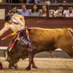 Madrid- Novillada nocturna - Viernes 20 de julio de 2018
