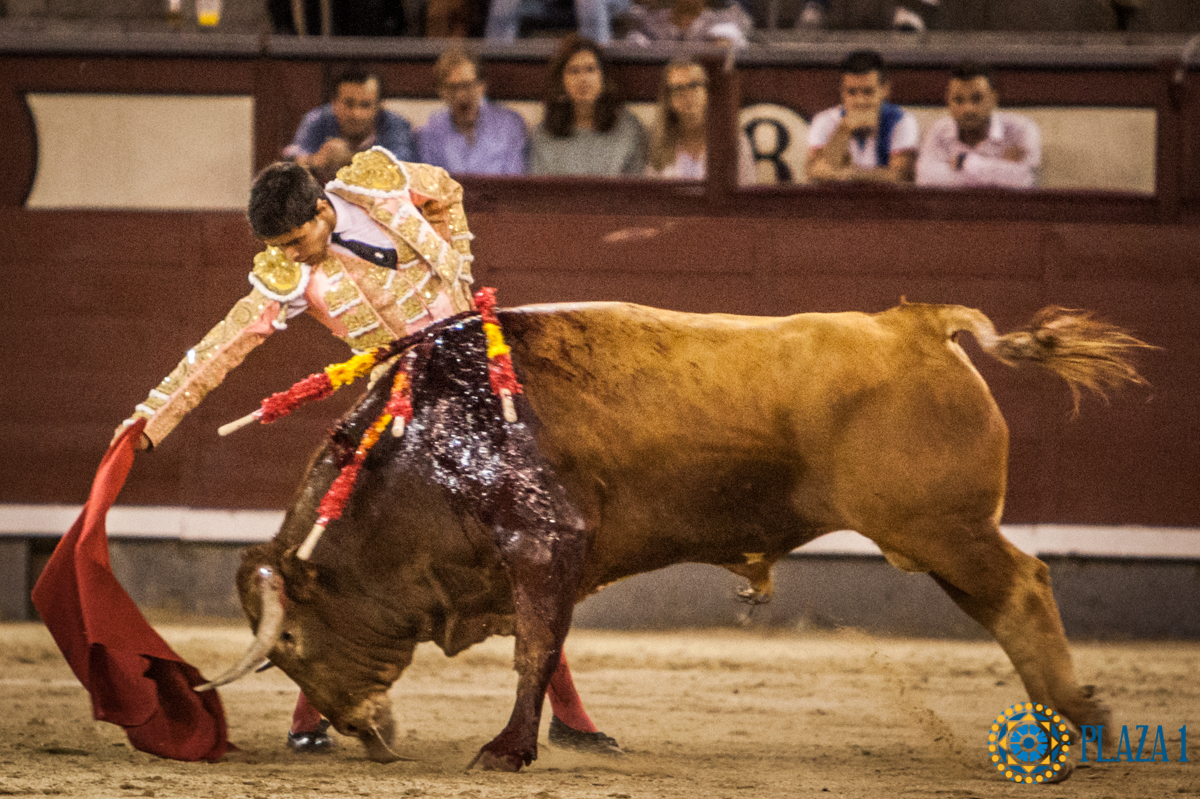 Madrid- Novillada nocturna - Viernes 20 de julio de 2018