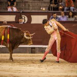 Madrid- Novillada nocturna - Viernes 20 de julio de 2018