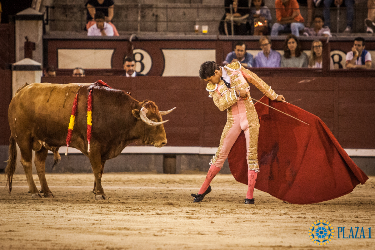 Madrid- Novillada nocturna - Viernes 20 de julio de 2018