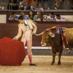 Madrid- Novillada nocturna - Viernes 20 de julio de 2018