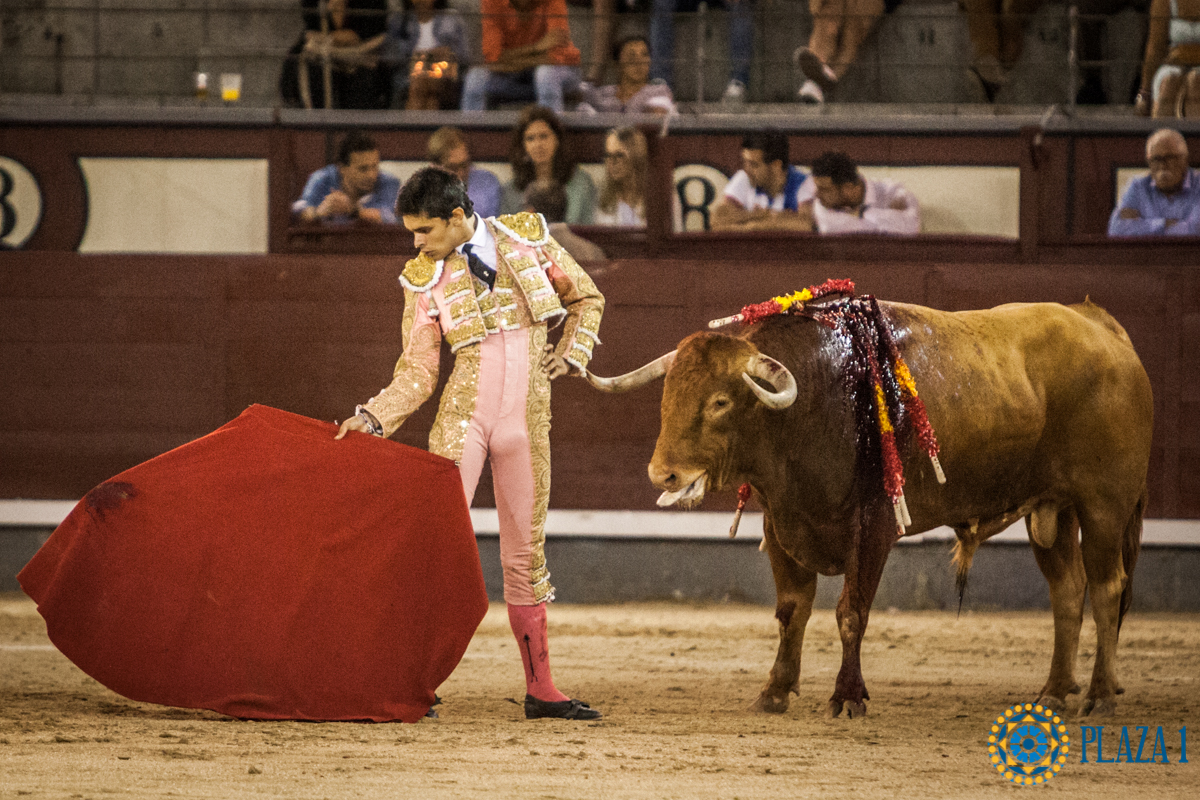 Madrid- Novillada nocturna - Viernes 20 de julio de 2018