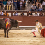 Madrid, 27 de julio de 2018