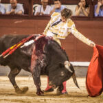 Madrid, 27 de julio de 2018