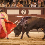 Madrid, 27 de julio de 2018