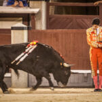 Madrid, 27 de julio de 2018