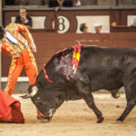 Madrid, 27 de julio de 2018