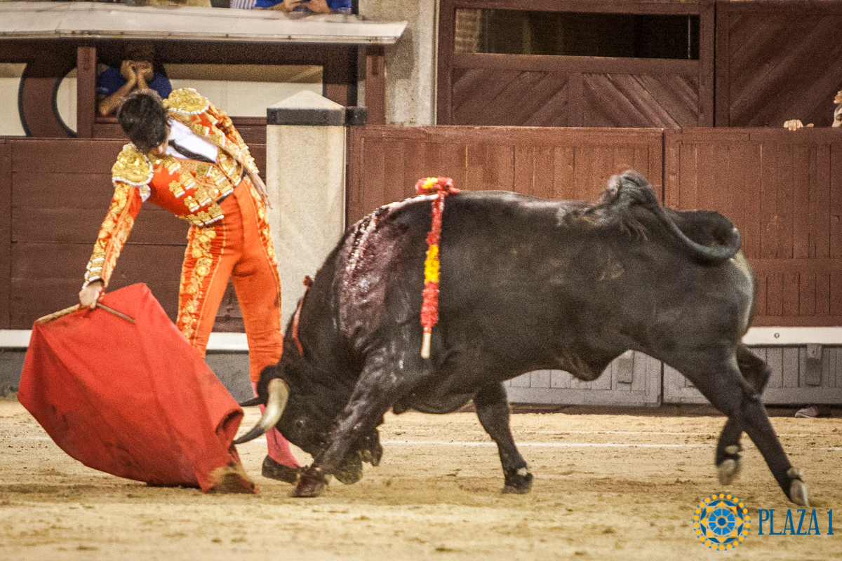 Madrid, 27 de julio de 2018