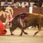 Madrid, 27 de julio de 2018
