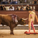 Madrid, 27 de julio de 2018