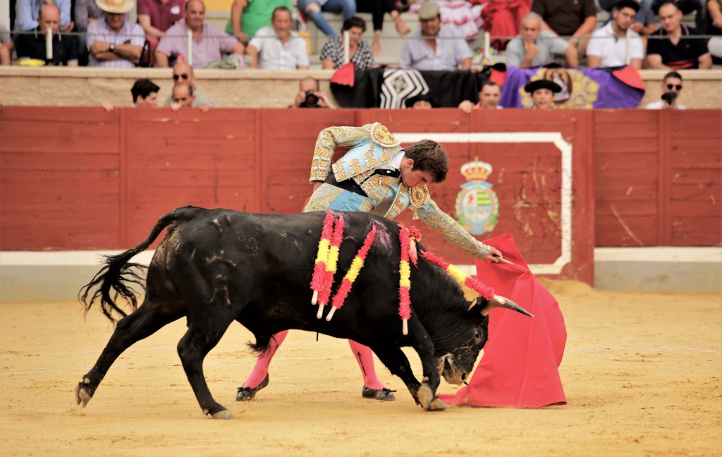 Villaseca de la Sagra (Toledo) - Final del V Certamen de Novilladas 2018