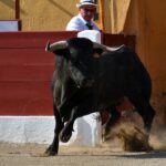 Ceret, 15 de julio de 2018. Corrida vespertina