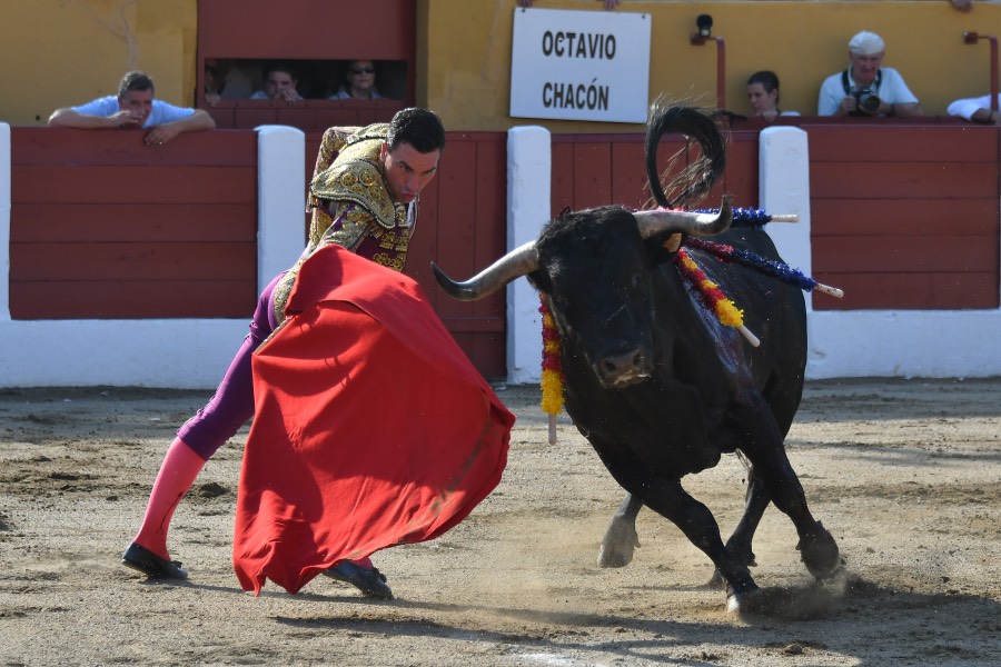 Ceret, 15 de julio de 2018. Corrida vespertina