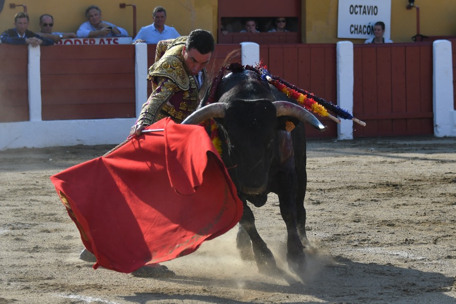 Ceret, 15 de julio de 2018. Corrida vespertina