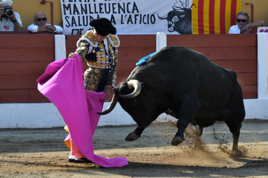 Ceret, 15 de julio de 2018. Corrida vespertina