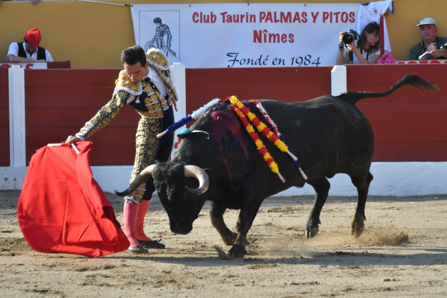 Ceret, 15 de julio de 2018. Corrida vespertina