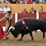 Ceret, 15 de julio de 2018. Corrida vespertina