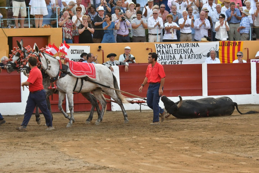 Ceret, 15 de julio de 2018. Corrida vespertina