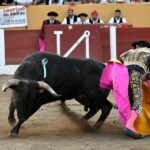 Ceret, 15 de julio de 2018. Corrida vespertina