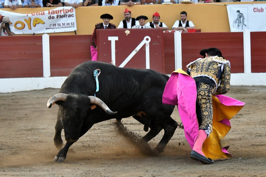 Ceret, 15 de julio de 2018. Corrida vespertina