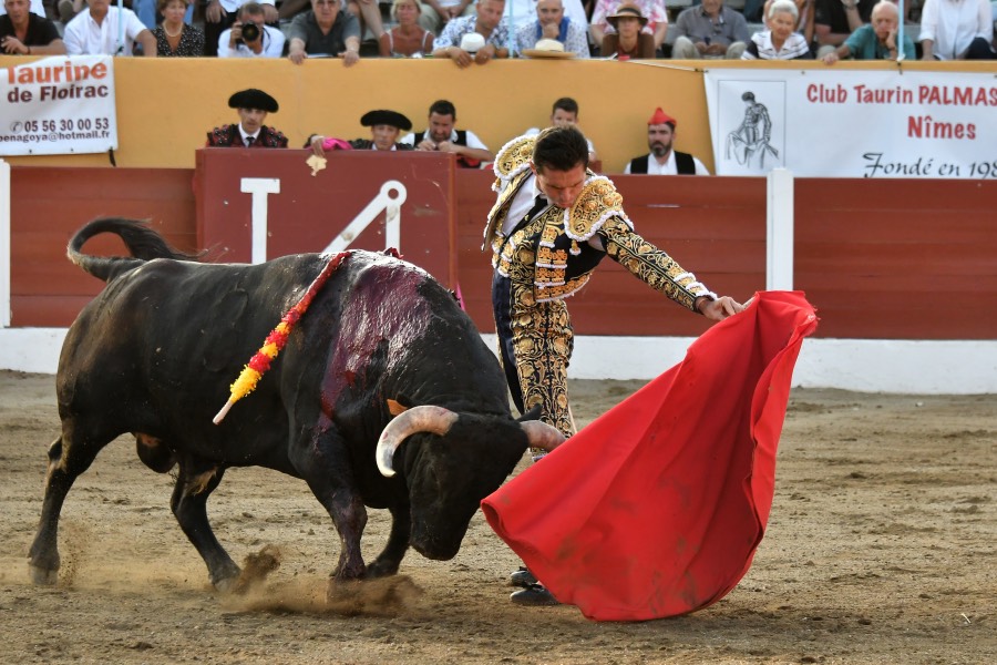 Ceret, 15 de julio de 2018. Corrida vespertina