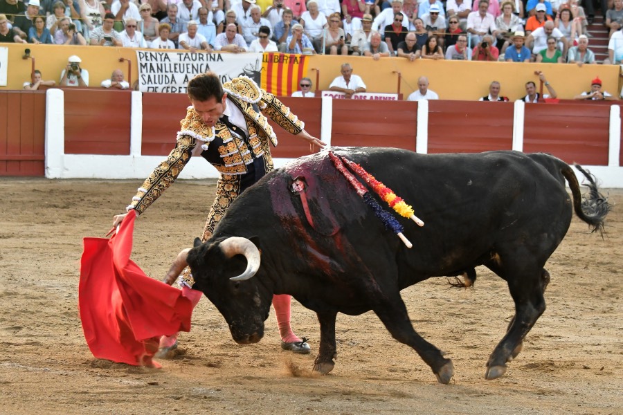Ceret, 15 de julio de 2018. Corrida vespertina