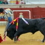 Villaseca de la Sagra (Toledo) - Final del V Certamen de Novilladas 2018